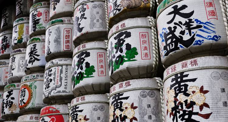 Japon - Points forts avec les cerisiers en fleurs - Bucket List Group Travel LLC 2