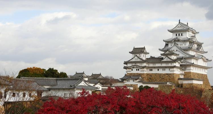 Japon - Points forts avec les cerisiers en fleurs - Bucket List Group Travel LLC 4