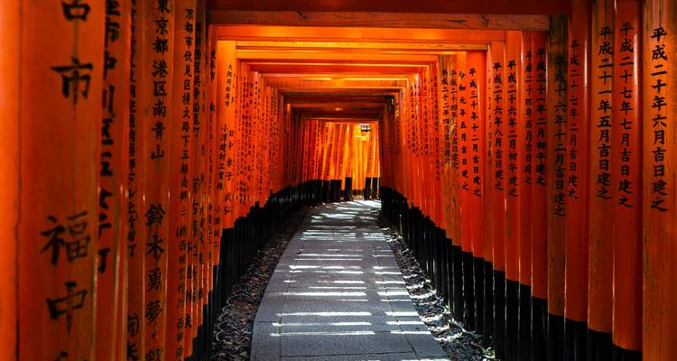 Japon - Points forts avec les cerisiers en fleurs - Bucket List Group Travel LLC 7