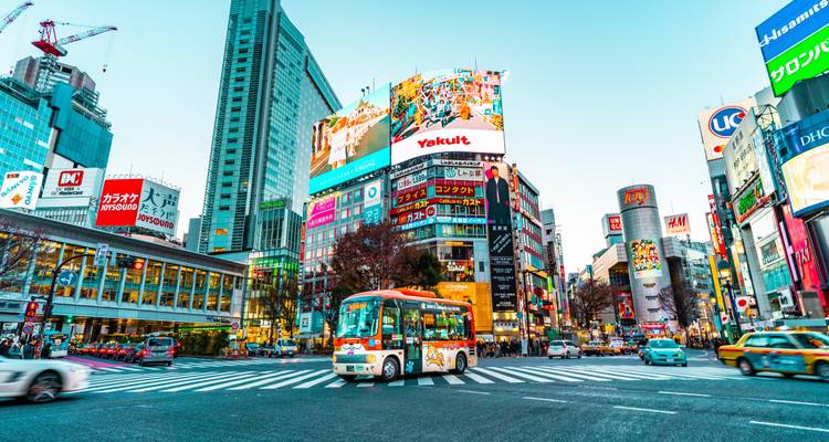 Japon - Points forts avec les cerisiers en fleurs - Bucket List Group Travel LLC 8