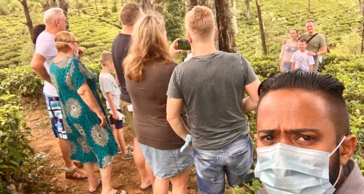 Een groep mensen met maskers die door een theeplantage lopen.