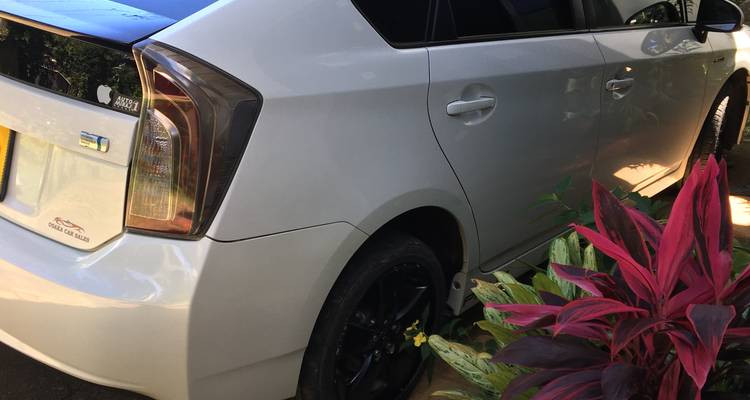 Close-up van een geparkeerde moderne auto op een oprit met planten ernaast.