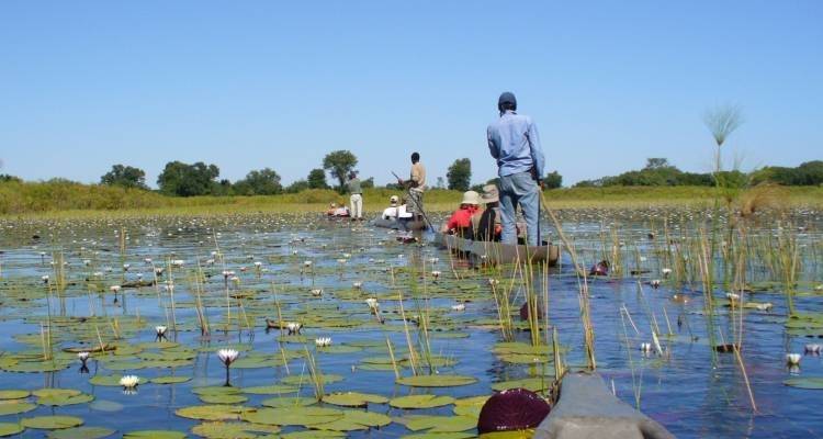 Le meilleur du Botswana et des chutes Victoria - 12 jours - On The Go Tours 1