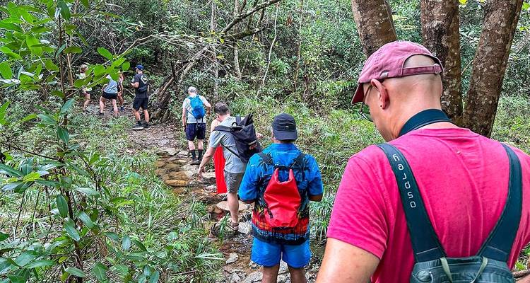 Gente haciendo senderismo por un frondoso sendero forestal.