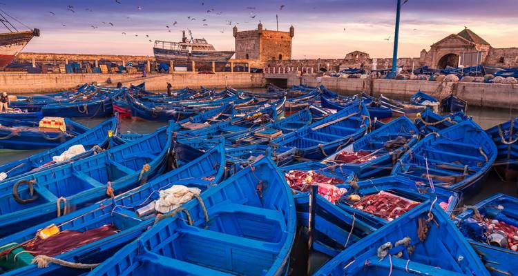 Grand tour du Maroc : De Casablanca à la côte atlantique - 14 jours - Desertbrise Travel 6
