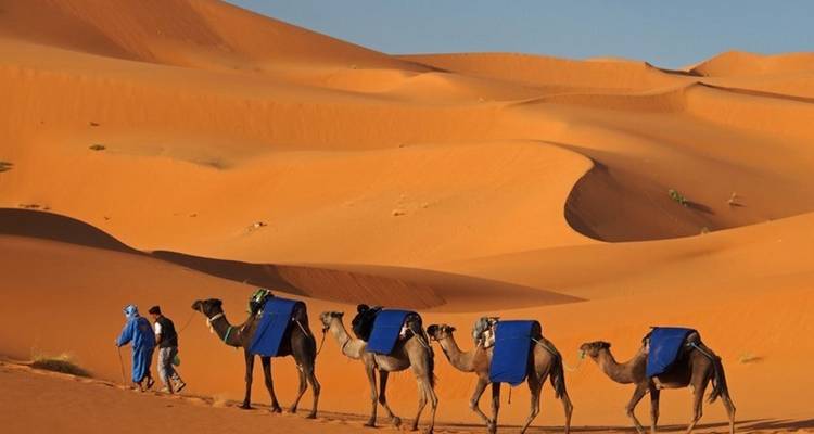 Marruecos en lujo: casablanca ida y vuelta - 14 días - Desertbrise Travel 7