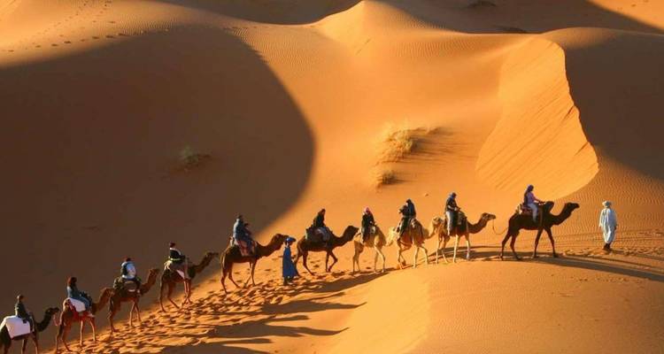 Marruecos de lujo: ciudades imperiales, desierto del Sahara y costa atlántica - 15 días - Desertbrise Travel 8
