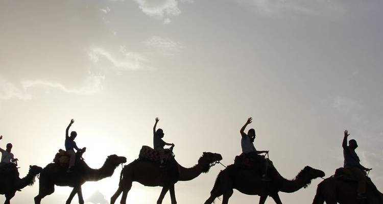 Silhouetted people riding camels during sunset
