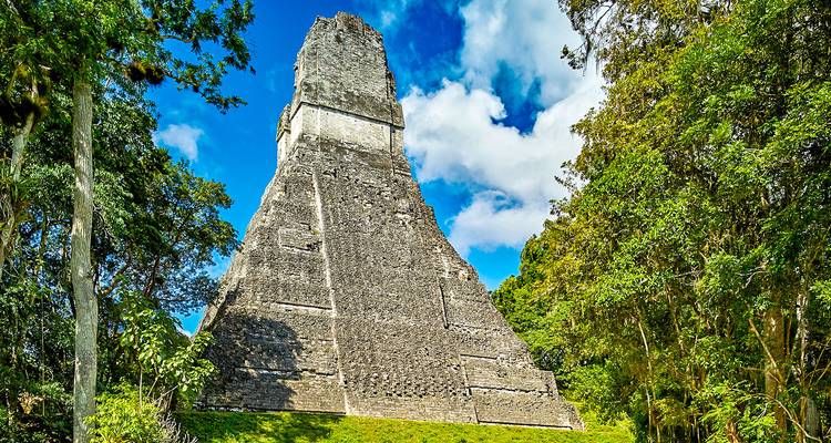 Ancienne pyramide maya entourée par la jungle.