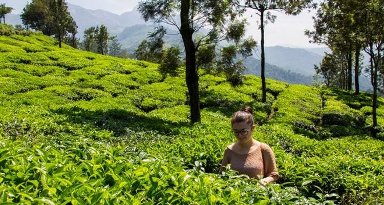 Prueba al sur de la India: templos y plantaciones de té - Explore! 9