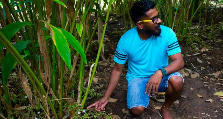 Prueba al sur de la India: templos y plantaciones de té - Explore! 7