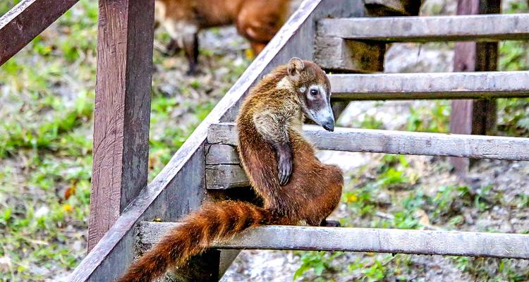 Tailor-Made Best Guatemala Family Tour, Daily Depart & Private Car - Agate Travel 10