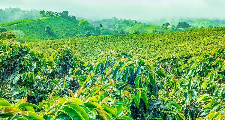 Tailor-Made Best Guatemala Family Tour, Daily Depart & Private Car - Agate Travel 6