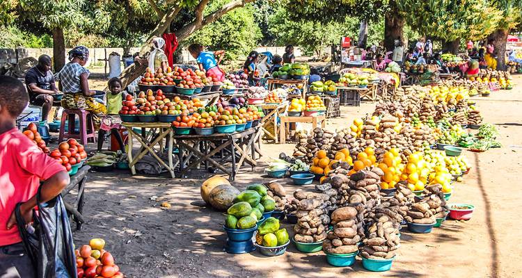 Vacaciones privadas personalizado en Mozambique por la isla de Bazaruto, salida diaria - Agate Travel 6