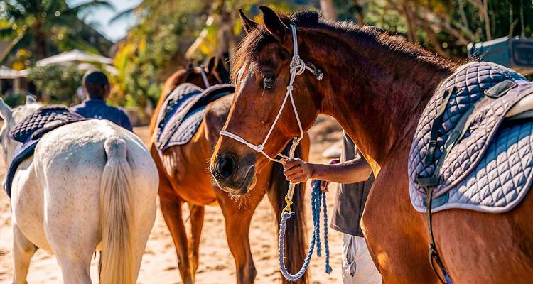 Vacaciones privadas personalizado en Mozambique por la isla de Bazaruto, salida diaria - Agate Travel 4