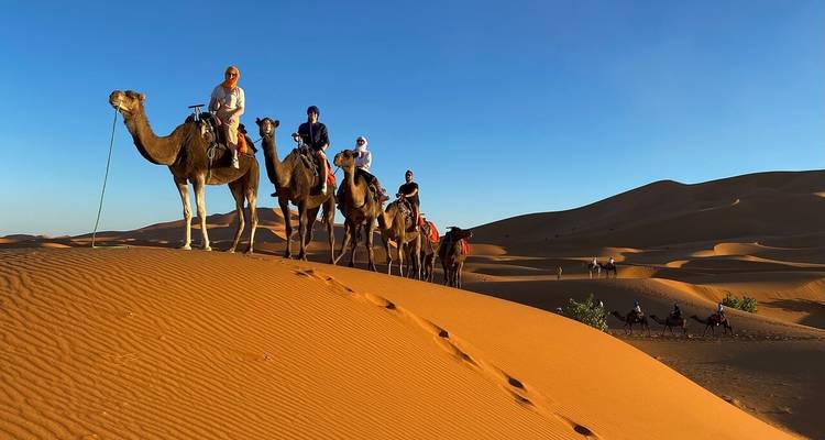 Kameelkaravaan die zandduinen oversteekt in Merzouga onder een heldere blauwe hemel.