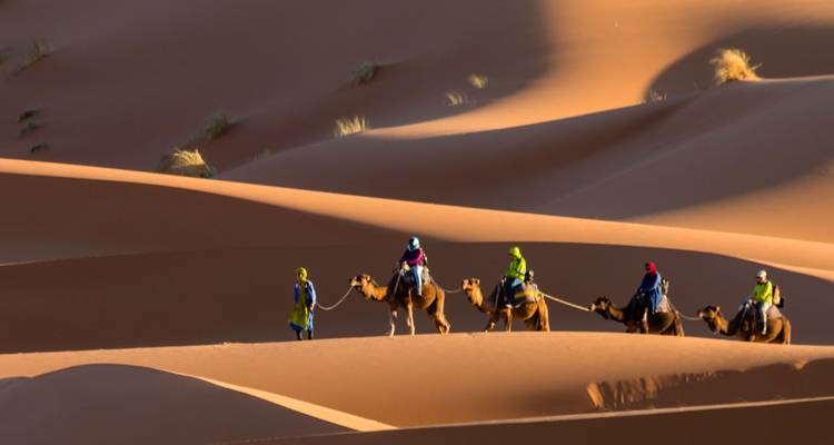 Gran vuelta a Marruecos: de Casablanca a Marrakech - 12 días - Desertbrise Travel 2