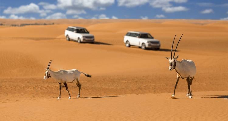 Découvrez les merveilles des Émirats arabes unis 8 jours/ 7 nuits - confort - Across Africa Tours & Travel 1