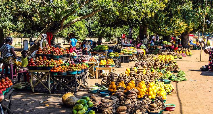 El mejor circuito a Mozambique hecho a la medida, salida diaria y guía privado - Agate Travel 1