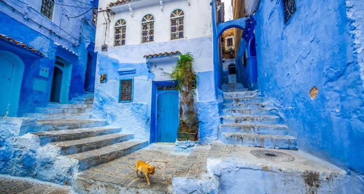Gran circuito de Marruecos: ciudades, desierto y costa - 11 días - Desertbrise Travel 7