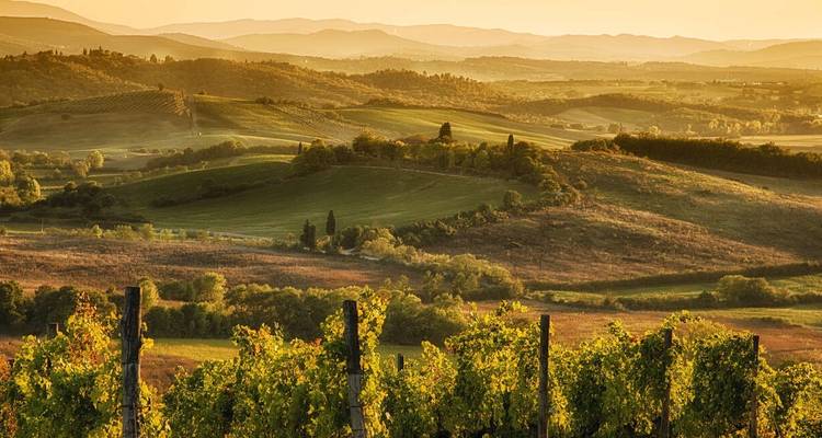 Le goût de la Toscane - Villes et vignobles perchés - Explore! 3