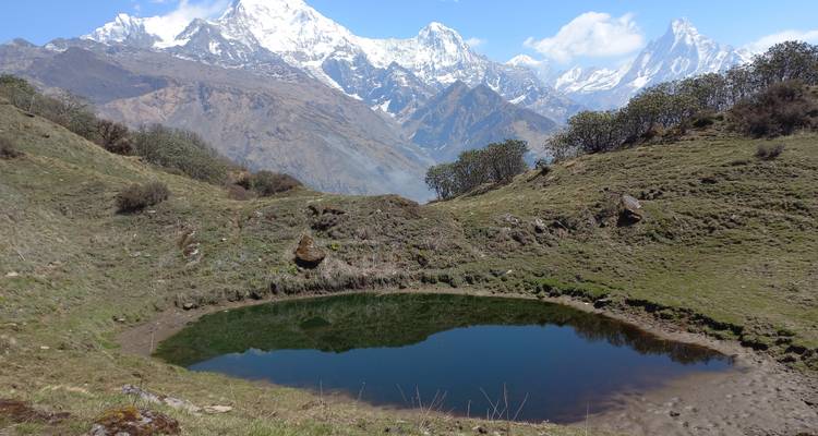 Muldai, Poon Hill, & Mohare Trek - Mount Adventure Holidays Pvt.Ltd 9