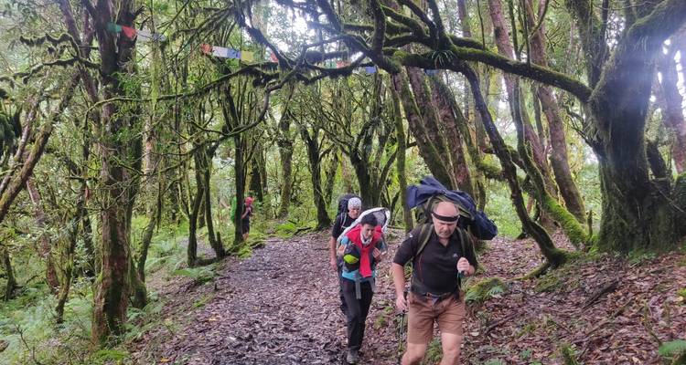 Muldai, Poon Hill, & Mohare Trek - Mount Adventure Holidays Pvt.Ltd 10
