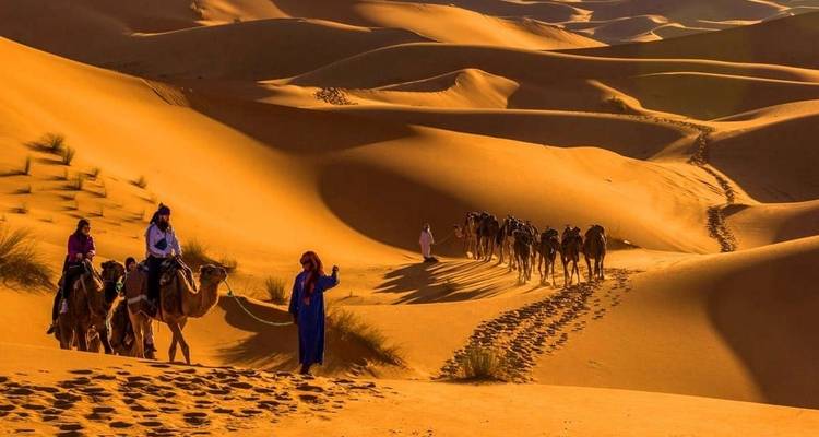 Descubre Marruecos: de las ciudades imperiales a la cordillera del Atlas y la costa - 11 días - Desertbrise Travel 3
