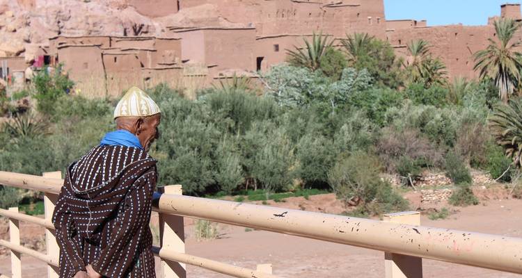 Lujo tradicional marroquí en Riad - Ancient Power Travel LLC 2