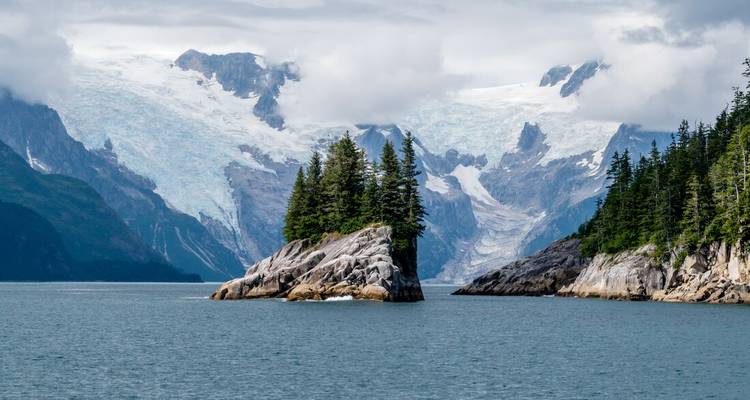 Winzige bewaldete Insel in einem Fjord gelegen, mit aufragenden Gletschern und schneebedeckten Gipfeln im Hintergrund.