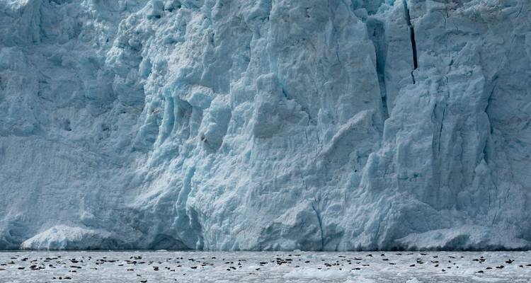Strahlend blaue Gletscherwand, die sich über ein eisbedecktes Meer erhebt.