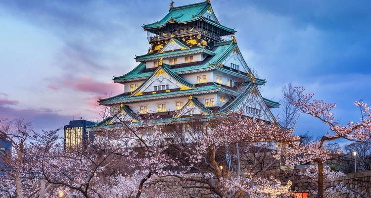 A Taste of Japan - Tokyo, Kyoto and Osaka - Explore! 6