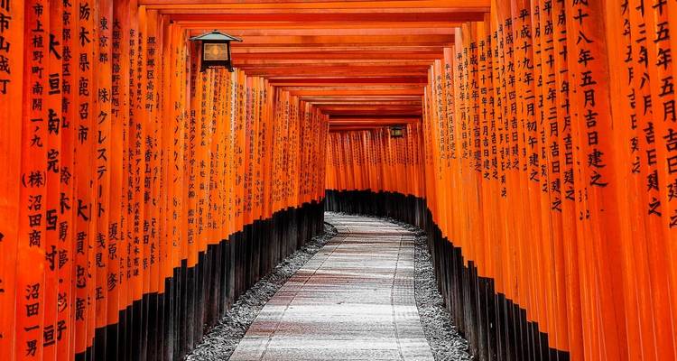 Langer Weg durch traditionelle japanische rote Torii-Tore.