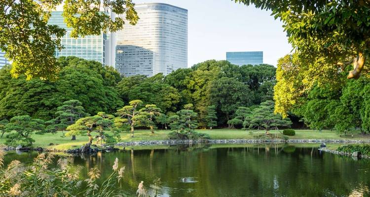 Stadtpark mit modernen Gebäuden und traditionellen Gartenelementen.
