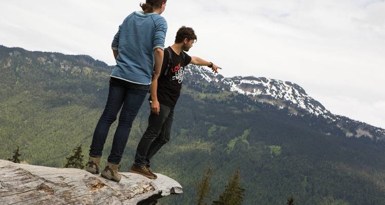 Duplicado: senderistas en un tronco señalando hacia las montañas.