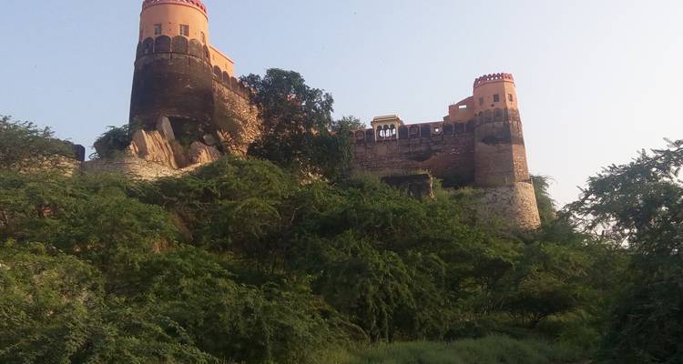 Un fuerte histórico parcialmente cubierto de vegetación visto desde abajo.
