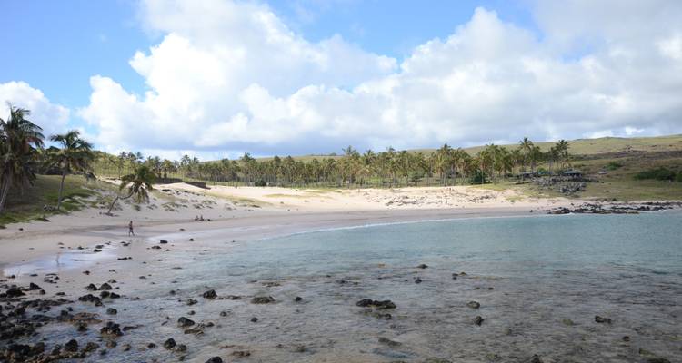 5 jours de magie sur l'île de Pâques - Signature DMC 9