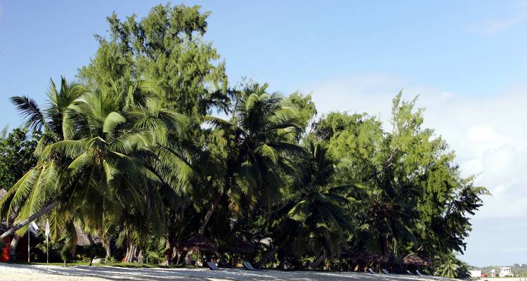Circuit de 11 jours à l'est de Madagascar - Fosa Travel 9