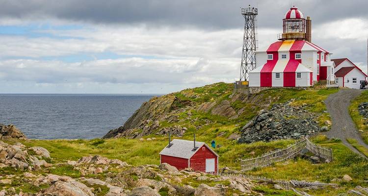 Newfoundland Adventure: Eastbound - Intrepid Travel 3