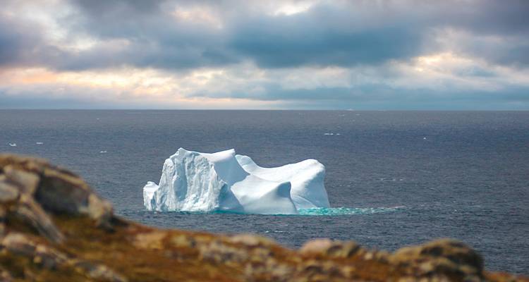 Newfoundland Adventure: Eastbound - Intrepid Travel 6