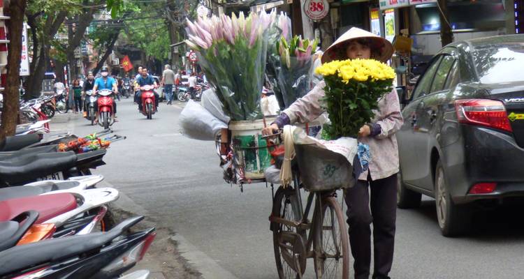 Discover Vietnam - Top Highlight must -see destinations / Hanoi - Halong Bay -Hoa Lu-Tam Coc - Ho Chi Minh - Mekong Delta - Cu Chi tunnels - LVP Travel 1