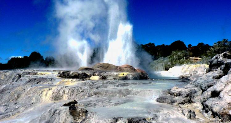 Geyser erupting with steam and clear sky.