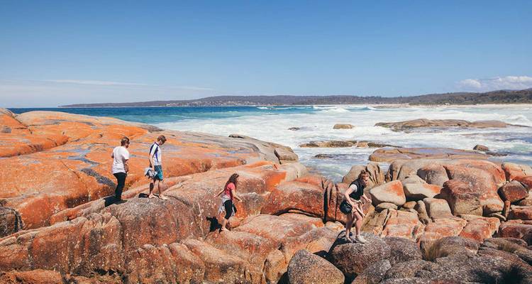 Marcher dans la baie des feux de Tasmanie - Intrepid Travel 8