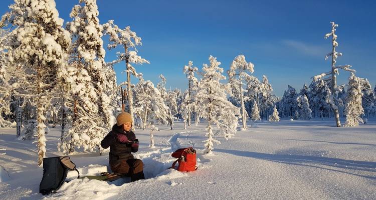 Nouvel An magique dans la Suède sauvage - Wild Sweden 10