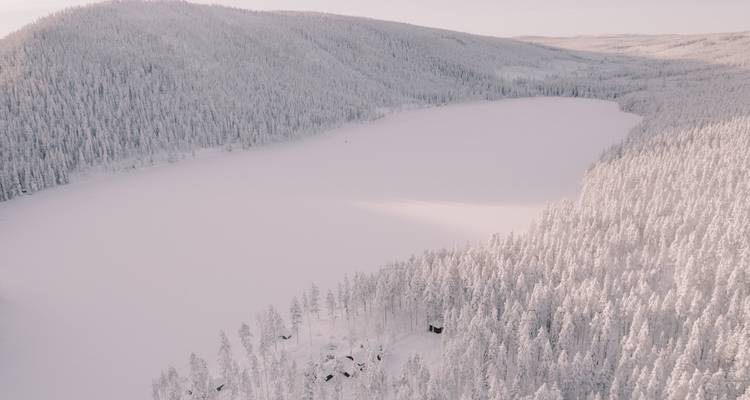 Nouvel An magique dans la Suède sauvage - Wild Sweden 2