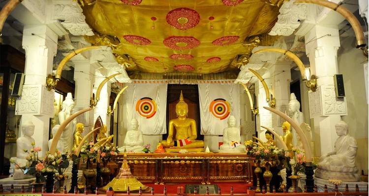 Descubre Sri Lanka: Colombo, cuevas y rutas del té - MTA Destination Management Company 10