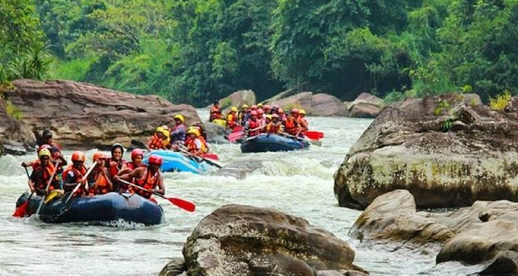 Descubre Sri Lanka: Colombo, cuevas y rutas del té - MTA Destination Management Company 6