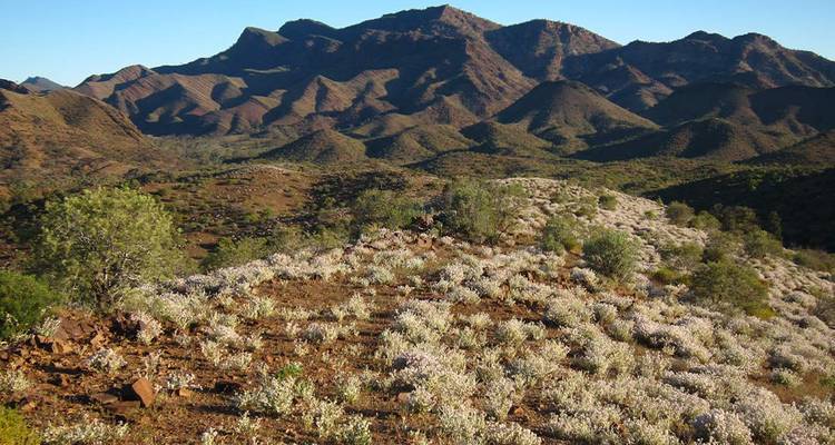 Marcher dans les Flinders Ranges d'Australie du Sud (6 destinations) - Intrepid Travel 6