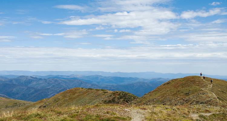Walk Victoria's High Country - Intrepid Travel 5