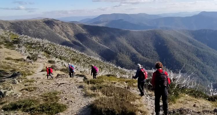 Walk Victoria's High Country - Intrepid Travel 4